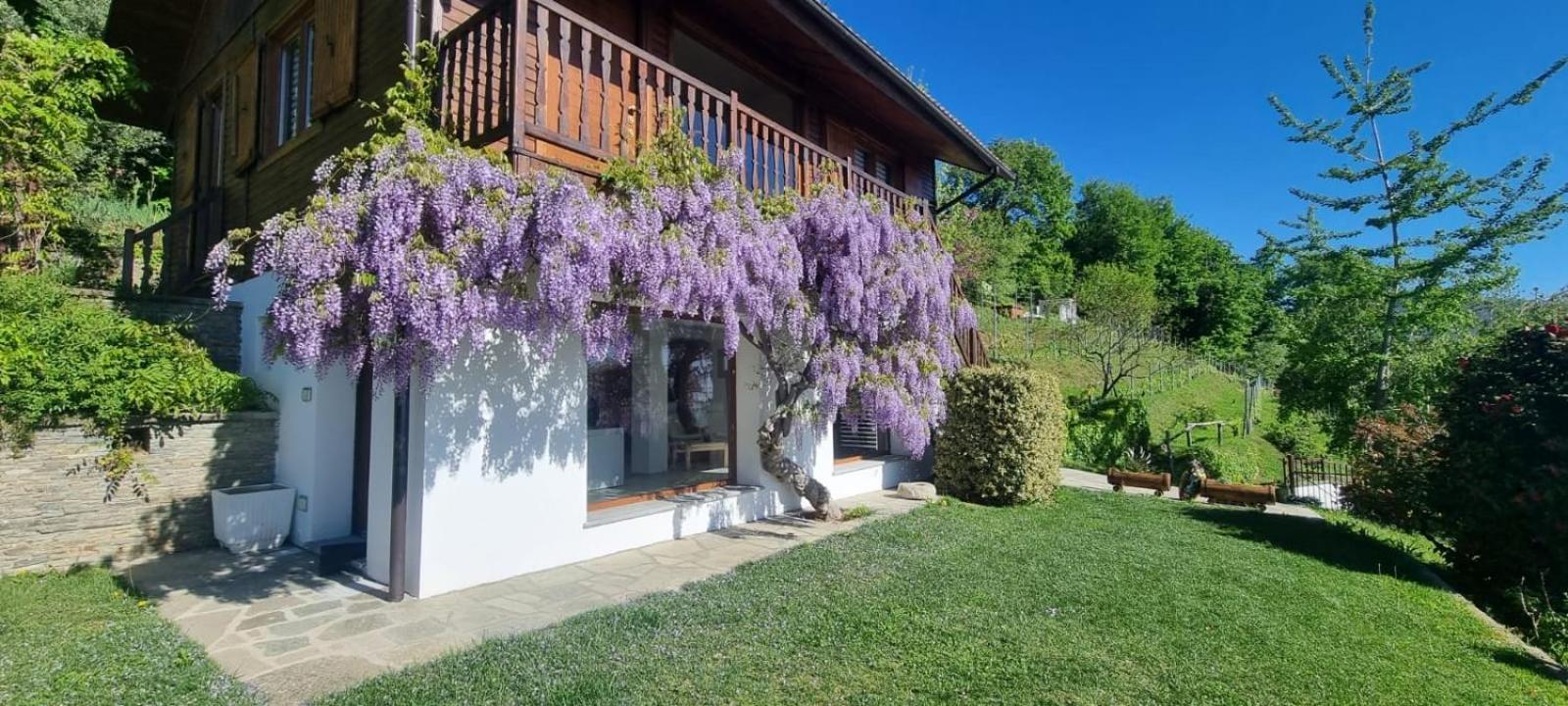 Chalet Sophie - Luxury Chalet Roletto Eksteriør billede